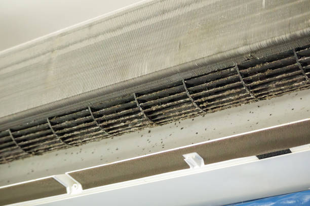 Best Air Duct Cleaning Near Me  in Perry, UT